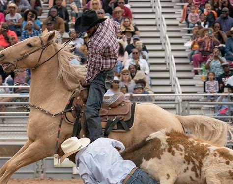 Yee Haw! Black Rodeo USA Unveiling History Of Black Cowboys And ...