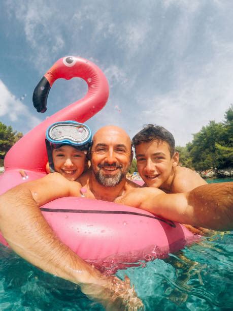 210+ Flamingo Family Stock Photos, Pictures & Royalty-Free Images - iStock