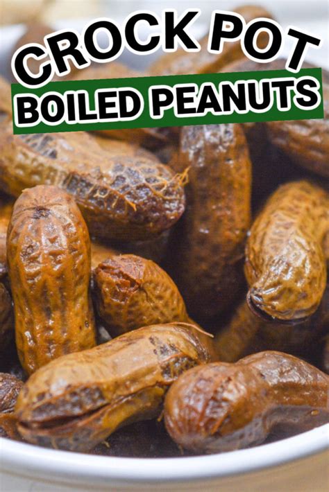 Crock Pot Boiled Peanuts Recipe • Bake Me Some Sugar