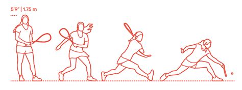 Squash Racket Dimensions & Drawings | Dimensions.com