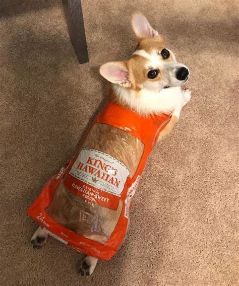 baby loaf of bread costume - cottoneyedjoedancetutorial