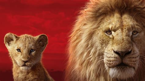 The Lion King 2019 Wallpaper