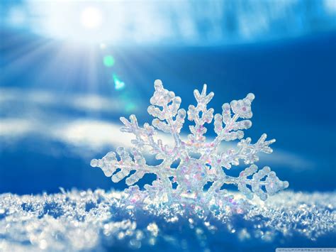 A moment in a snowflake - Sharon Salzberg