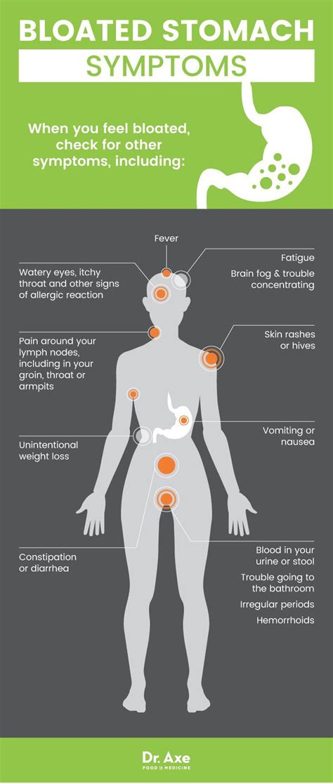 Bloated Stomach Causes, Symptoms & Treatments - Dr. Axe | Bloated stomach causes, Bloated ...