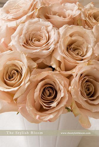 Be Happy | Champagne wedding colors, Pink rose bouquet, Wedding bouquets