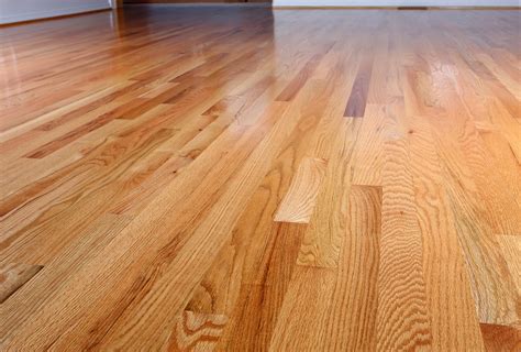 Hardwood Floor Styles 2024 - Jany Blancha