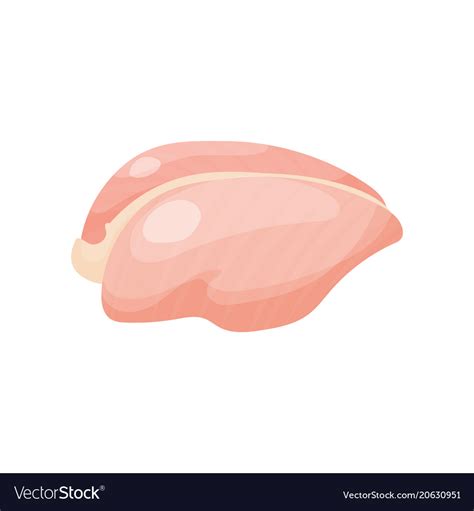 Raw chicken breast part chicken carcass Royalty Free Vector