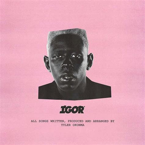 Made the IGOR cover in the style of IGOR (took 32 hours to complete) : r/tylerthecreator