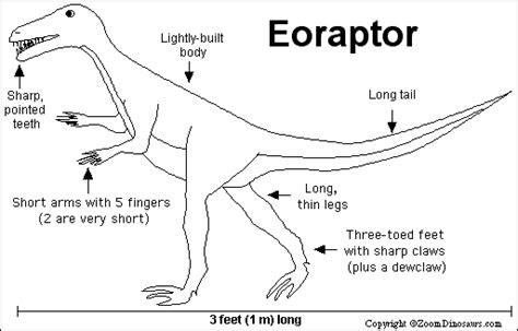 Eoraptor- Enchanted Learning Software