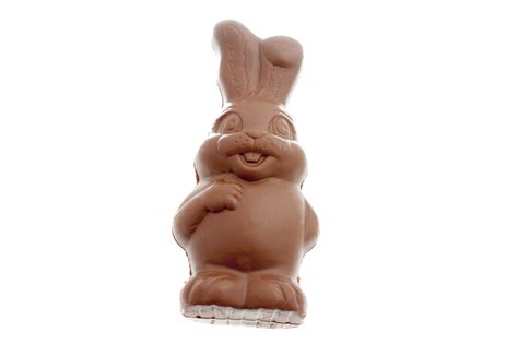 Chubby and cheerful chocolate candy bunny Creative Commons Stock Image