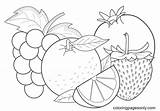 Tropical Fruits Pictures Coloring Page  Free Printable Pages sketch template