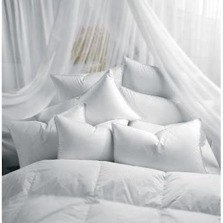 welcome [goose-down-pillows-4589.blogspot.com]