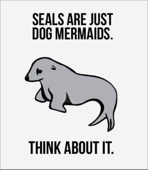 except for the fact that this is a sea lion. | Haha funny, Make me laugh, Humor