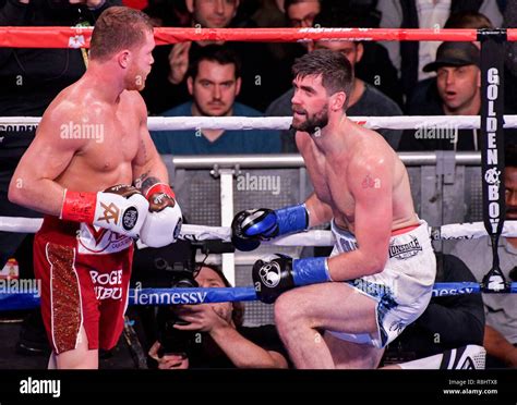 Canelo alvarez hi-res stock photography and images - Alamy