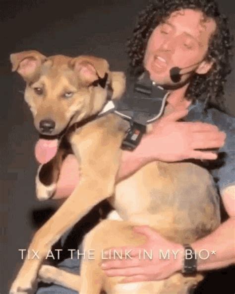 Petting Dog Holding Dog GIF - PettingDog HoldingDog HappyDog - Discover & Share GIFs