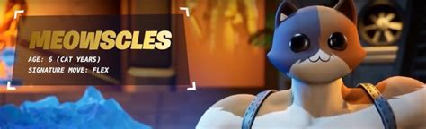 The Buff Cat From 'Fortnite' Explained | Cracked.com