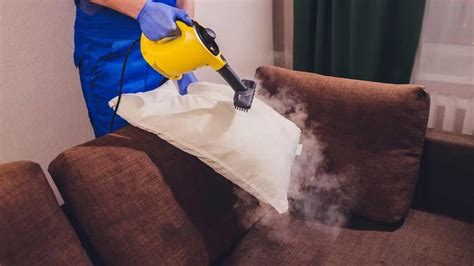 Using A Steam Cleaner To Kill Bed Bugs - Pest Pit