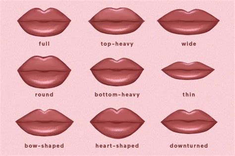 Which Of The 9 Lip Shapes Do You Have? Plus, How To Enhance Each | Lip ...