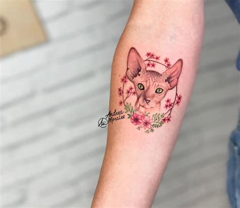 Sphynx cat tattoo by Andrea Morales | Photo 28961