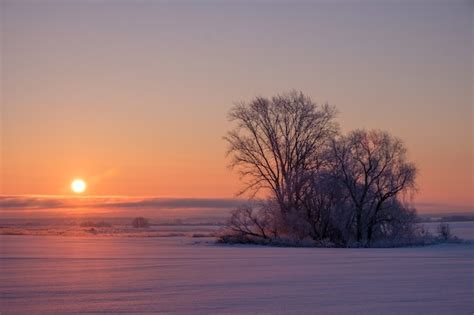 Premium Photo | Beautiful winter landscape and views of the rising sun and trees in the field