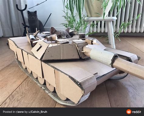 Cat tank : r/tankmemes