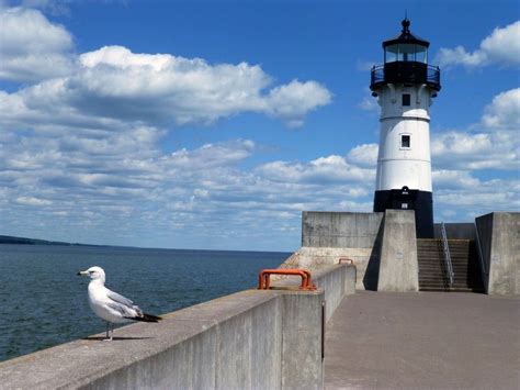 Canal Park, Duluth MN lighthouse pier and seagull | Canal park duluth ...