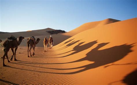 Sahara Desert, The Hottest Desert In The World - Found The World