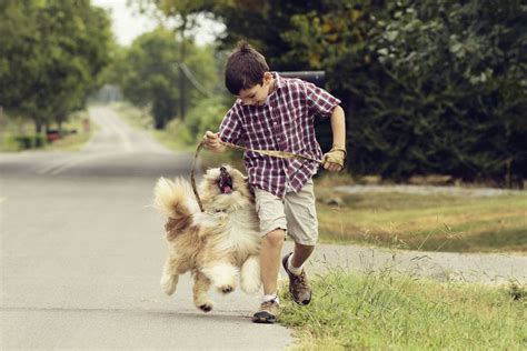 5 Things to Consider Before Getting Your Child a Pet