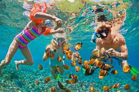 learn to snorkel - Airlie Beach Swim Centre