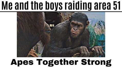 Apes Together Strong - Meme Compilation - YouTube