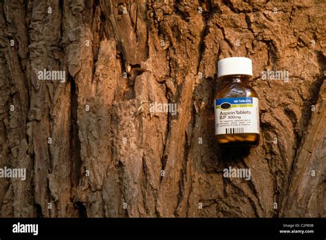 Willow Bark And Aspirin Stock Photo - Alamy