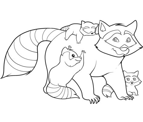 Free Printable Raccoon Coloring Pages For Kids