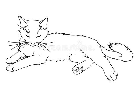 Cat Laying Down Drawing Reference - Sheilase Wallpaper