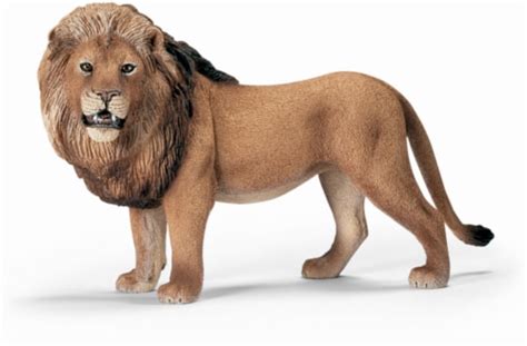 Schleich Lion, 1 Count - King Soopers