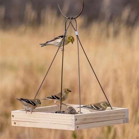 Easy Diy Bird Feeder Cheapest Wholesalers, Save 48% | jlcatj.gob.mx