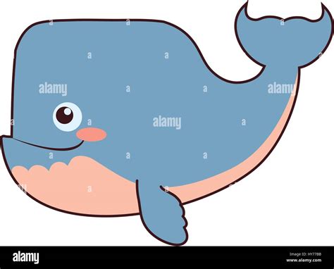 whale cartoon drawing animal vector icon illustration Stock Vector ...