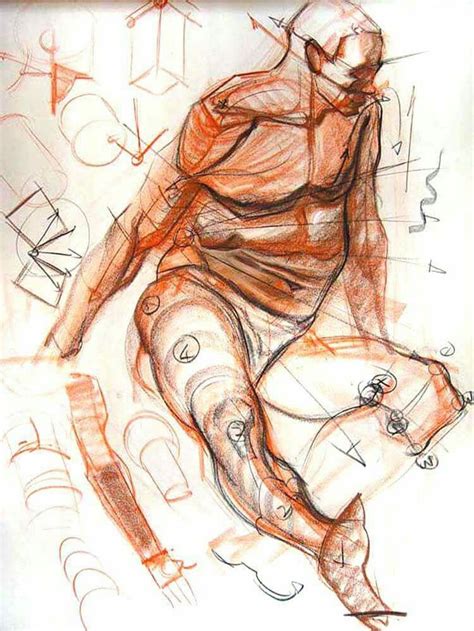 Anatomy Figure Drawing Art – Warehouse of Ideas