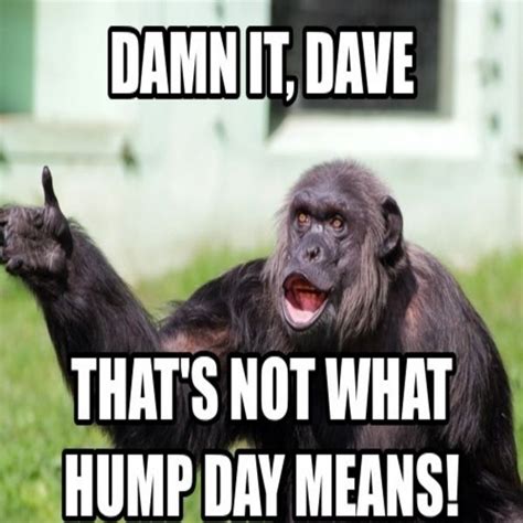 happy hump day Meaning & Origin | Slang by Dictionary.com