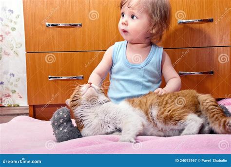 Boy and cat stock image. Image of background, happy, animal - 24092967