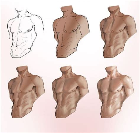 Anatomy Reference — Body and Torso