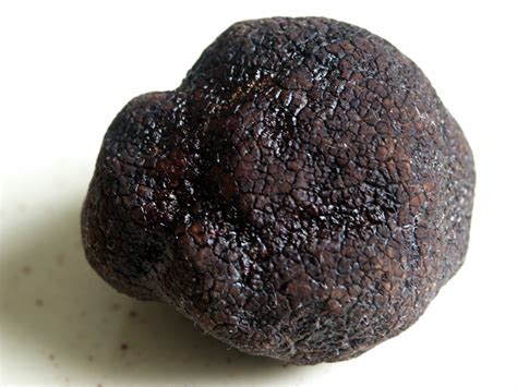 Truffle - Wikipedia