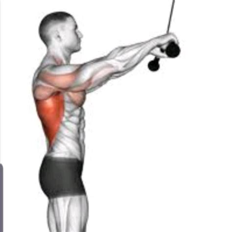 Pulldowns ( Cable ) by David M. - Exercise How-to - Skimble