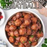 Slow Cooker Cranberry Meatballs - One Pot Only — easy recipes using one ...