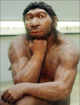 Neanderthal nose enigma: Why so big? - Technology & science - Science - LiveScience | NBC News
