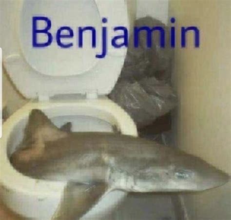 Benjamin is cool : r/memes