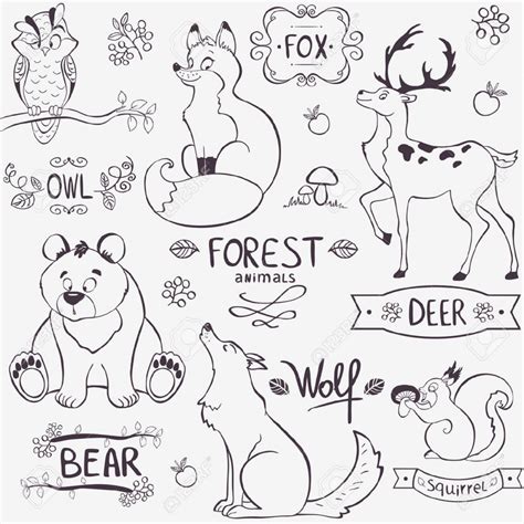 Forest Animals Drawing at GetDrawings | Free download