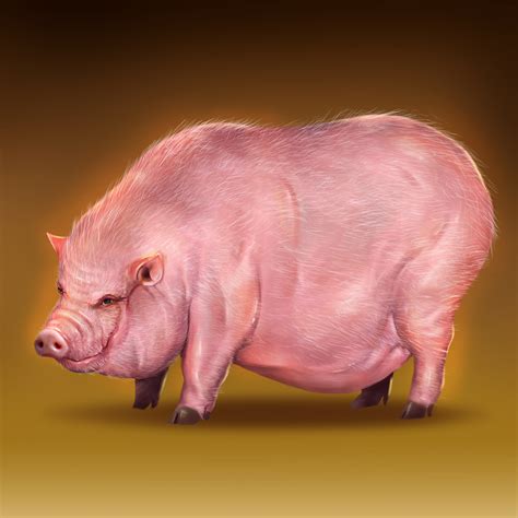 A giant pig by chithanhfootball on DeviantArt