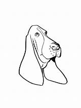 Basset Hound coloring Pages sketch template