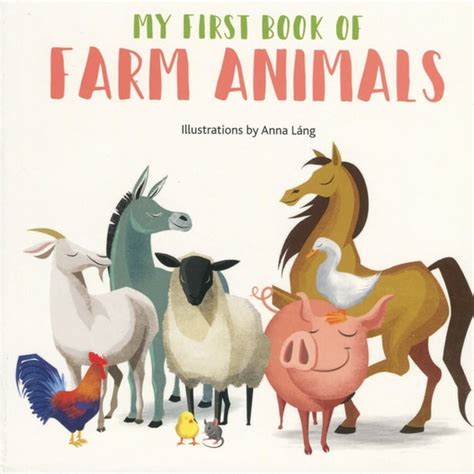 My First Book of Animals: Farm Animals (Board book) - Walmart.com - Walmart.com