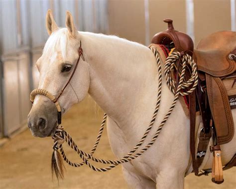 Mecate Tie Rope for Horses